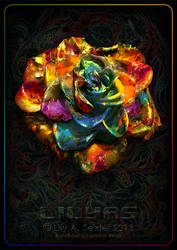 Rainbow Glamour Rose