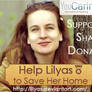 Help Lily to Save Her Home