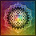 Rainbow Flower of Life Lotus by Lilyas