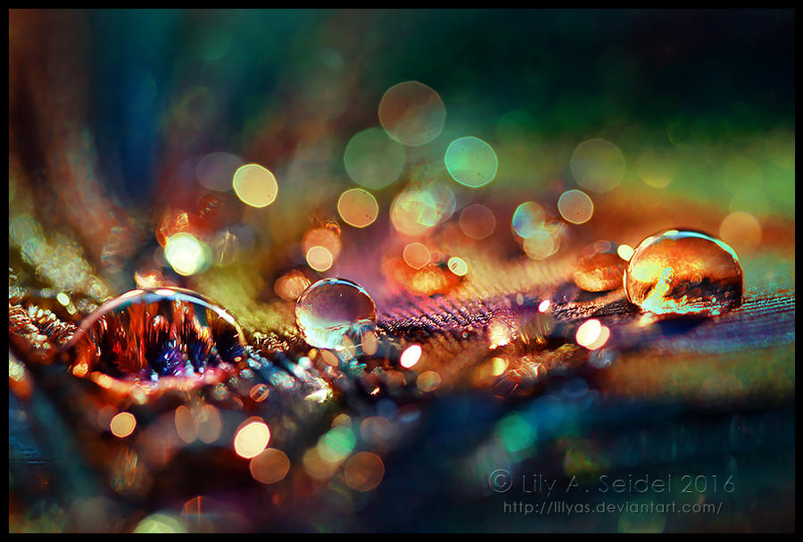 Rainbow Fairy Dust