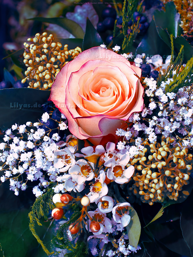 Rose Bouquet - Unlimited STOCK by Lilyas