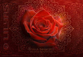 Magical Rose Design - Unlimited STOCK