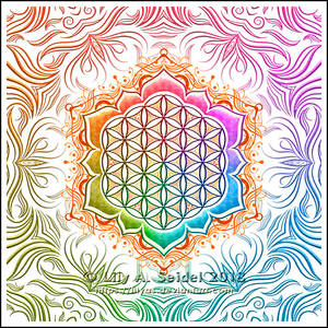 Flower of Life Lotus