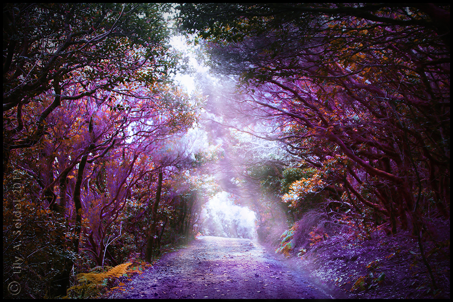 Magical Forest - FREE Premade Background by Lilyas on DeviantArt