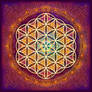 Romantic Flower of Life