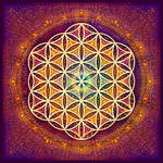 Romantic Flower of Life