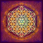 Romantic Flower of Life by Lilyas