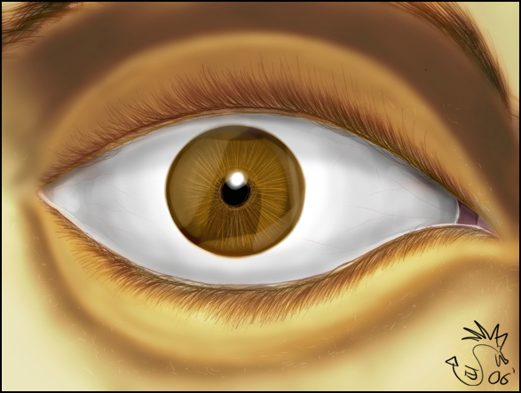 Eye Exploration