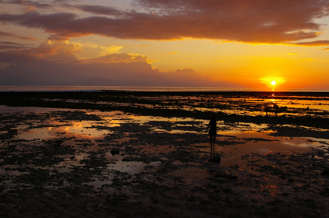 Coral Sunset