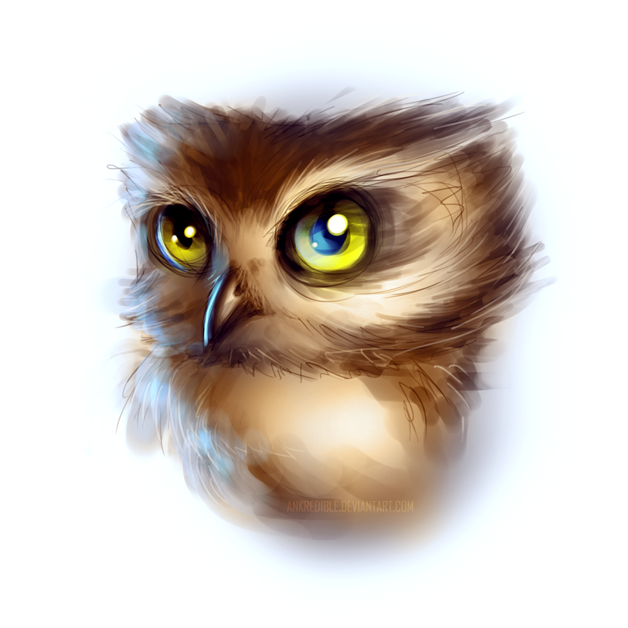 Baby owl - Digital drawing practice