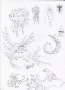 CC: creatures sketches 1