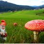 Shroom Maker