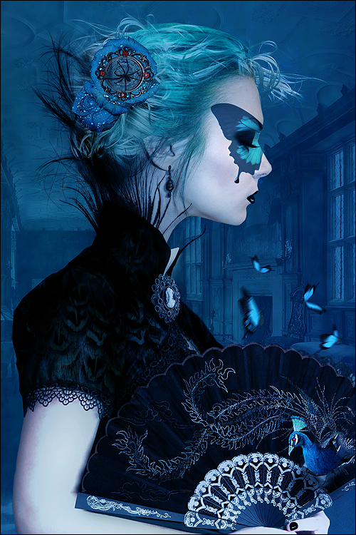 Night Butterfly by AlexandraVBach