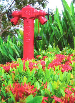 Fire Hydrant