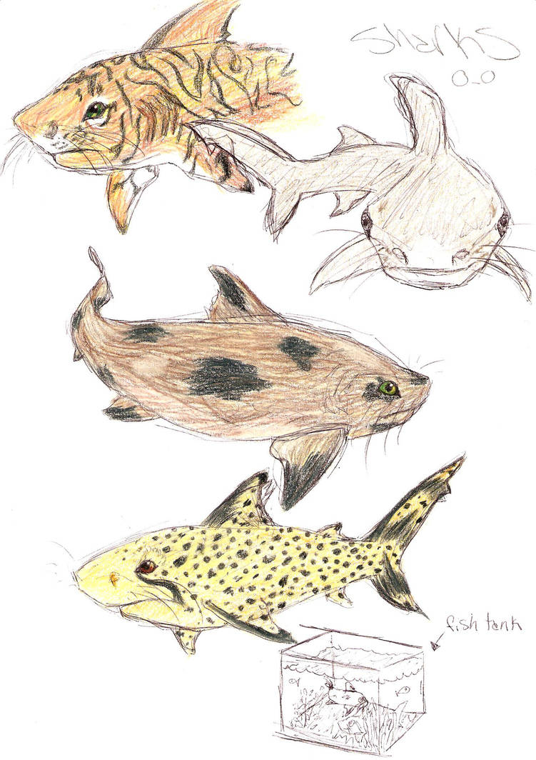 Catfish by Rogue-Cockroach on DeviantArt