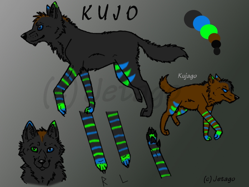 Updated Kujo Reference