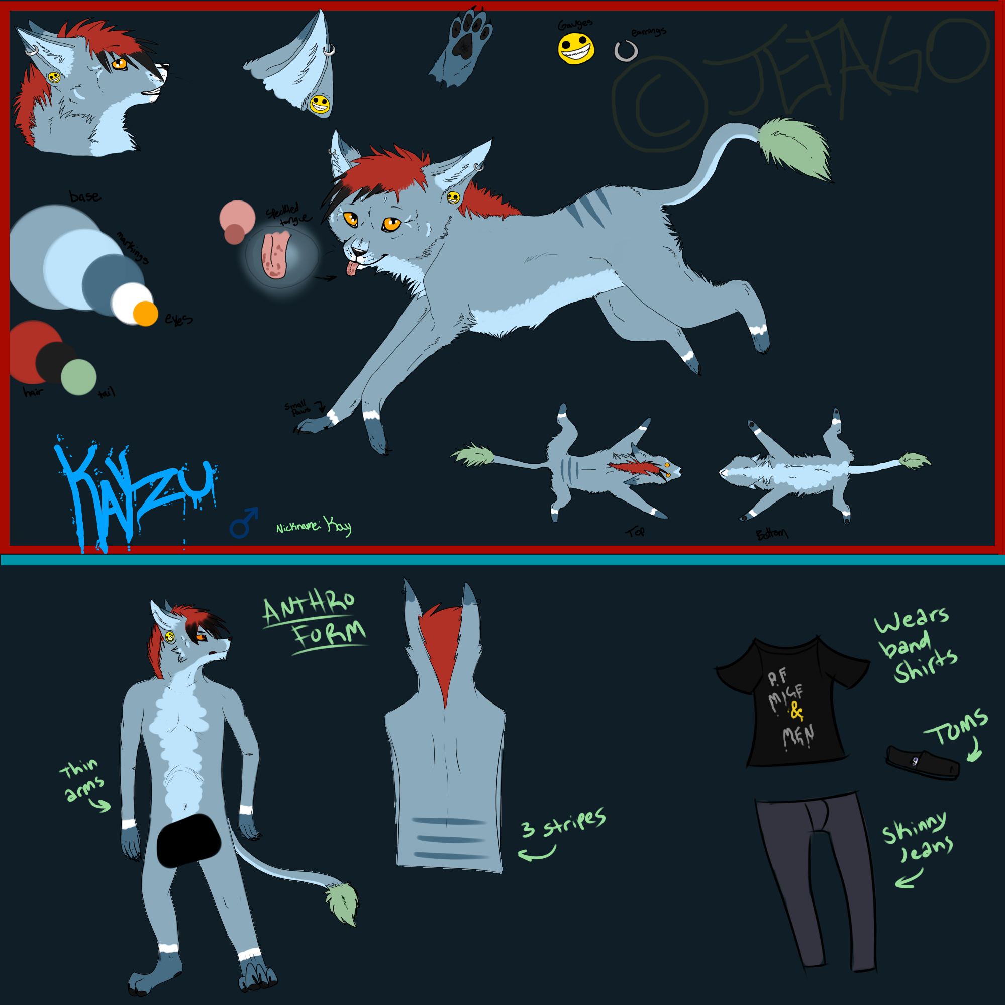 KAYZU Reference 2012 (My Fursona)