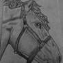 Horse :D