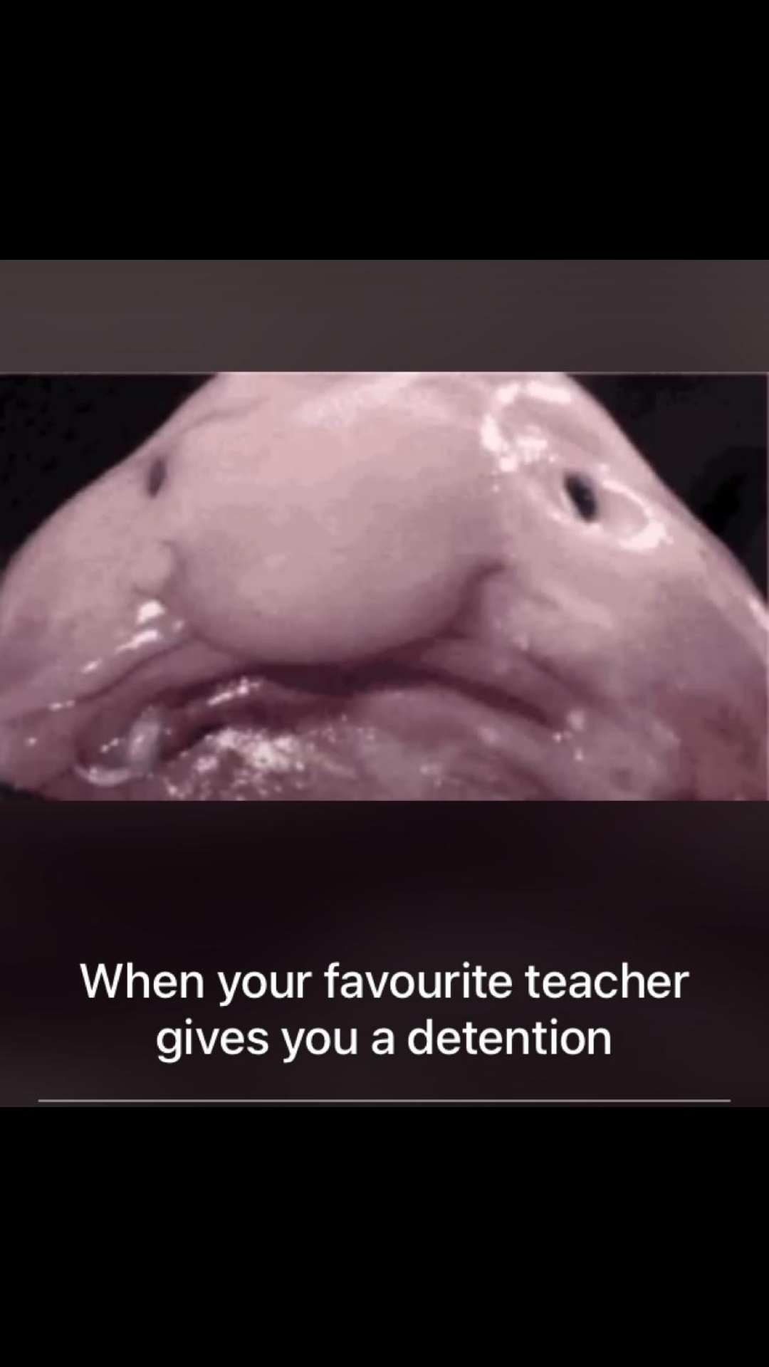 Blobfish meme by DitoSlothy123 on DeviantArt