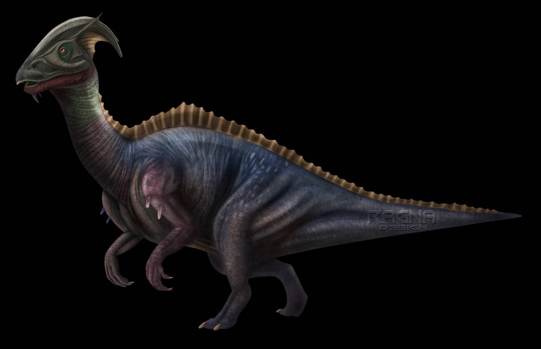Parasaurus by Rhallwyn on DeviantArt
