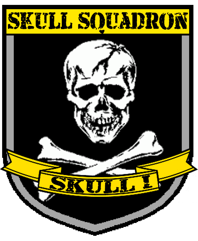 Skull Squadron Shield [BETA]