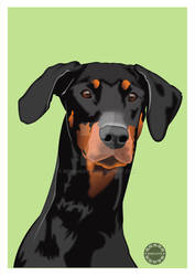 Doberman