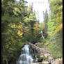 Coniferous Waterfall