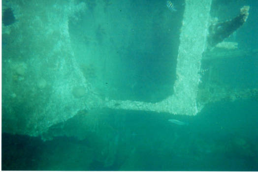 Wreck of the SS Antilla