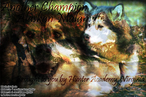 Hunter Academy Virginia Manip