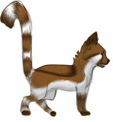 Lemur Fox thing XD