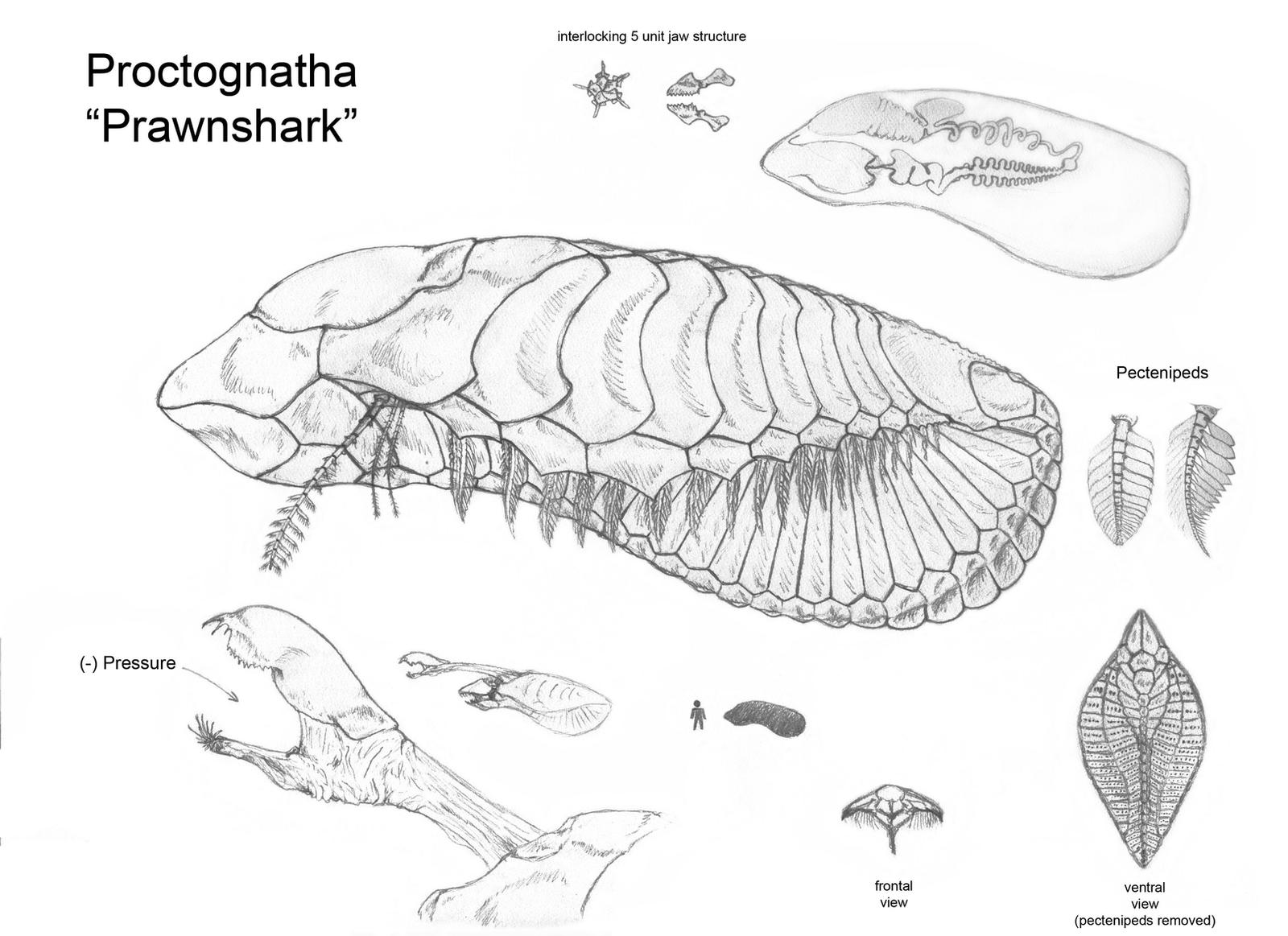 Erytheian 'Fish' Too