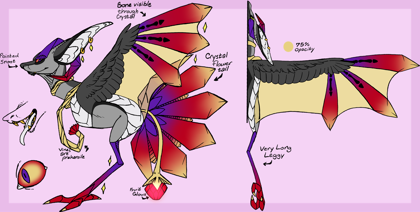 Third Reference