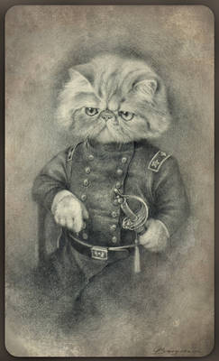 Colonel Puss