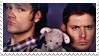 Jared and Jensen Stamp I