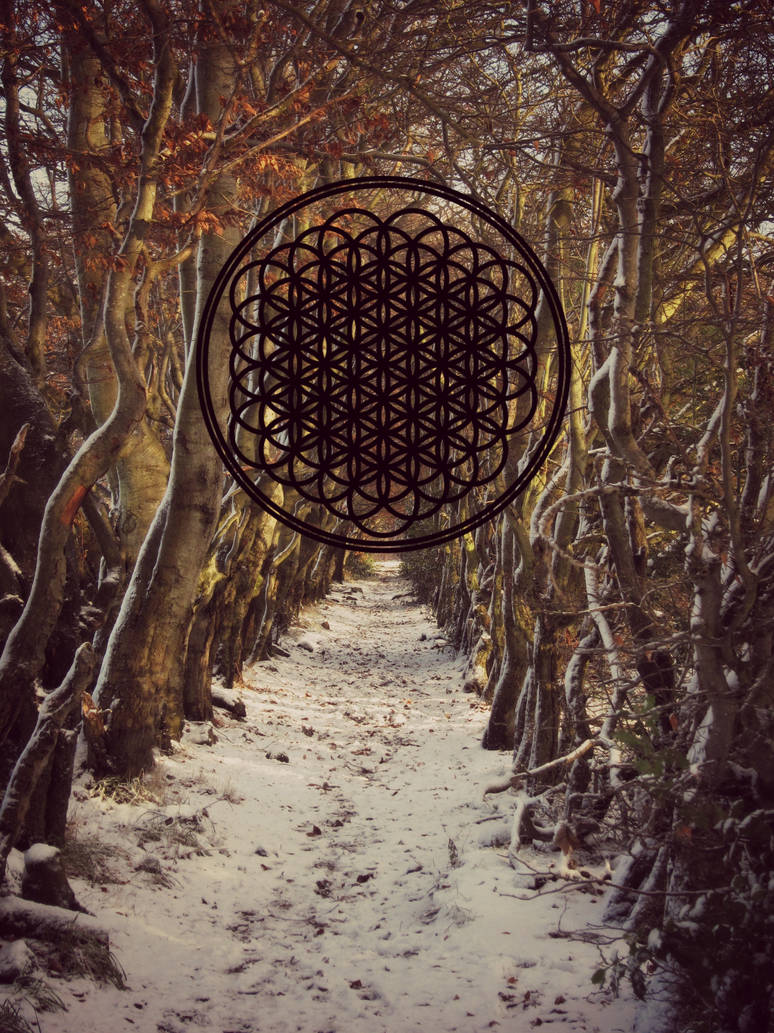 Sempiternal Portrait Sempiternal by amandean98 on DeviantArt