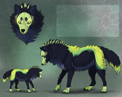 OPEN - Points Wolf Adopt 24