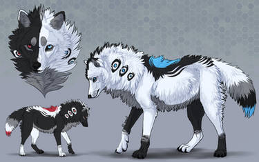 CLOSED - Wolf Adopt 30 (Custom)