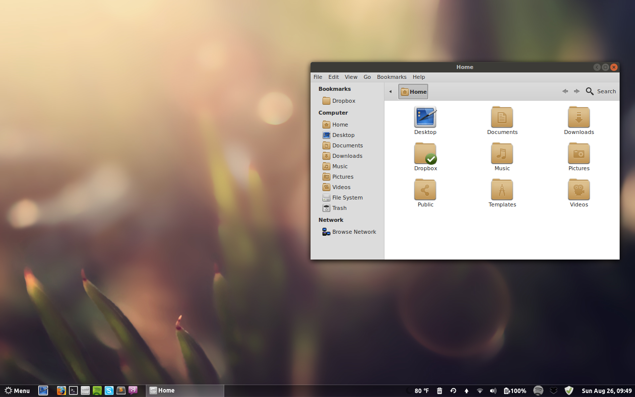 Woooooo! More Linux Mint Cinammon