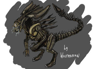 Predalien Line Drawing Explore the Best Predalien Art | DeviantArt