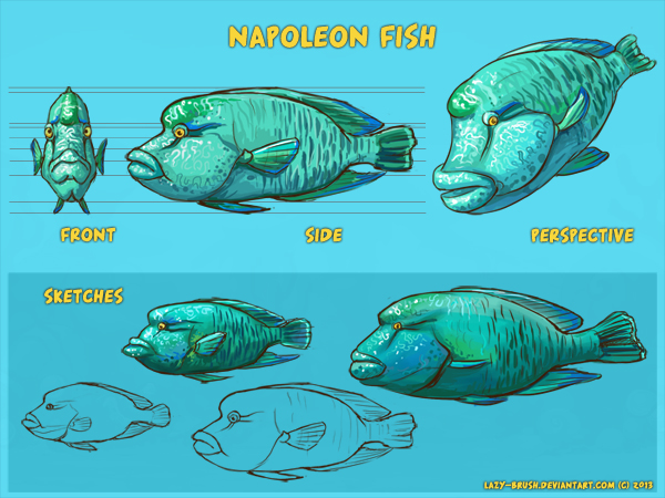 Napoleon fish by lazy-brush on DeviantArt