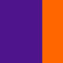 FedEx Colors