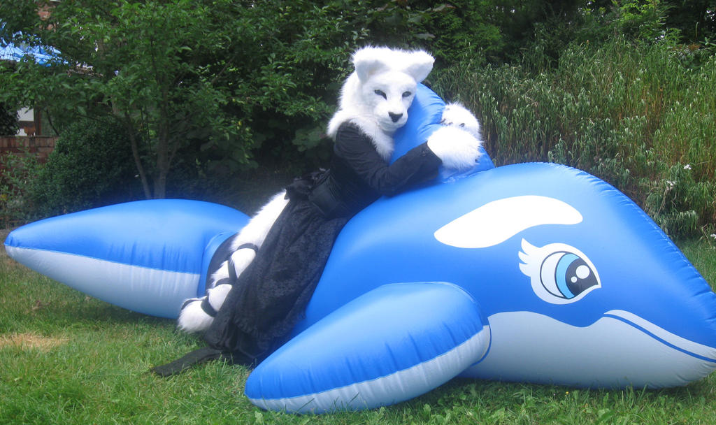 Orca riding by HopelessSky on DeviantArt