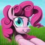 Pinkie Portrait