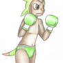 The Little Chespin Fighter