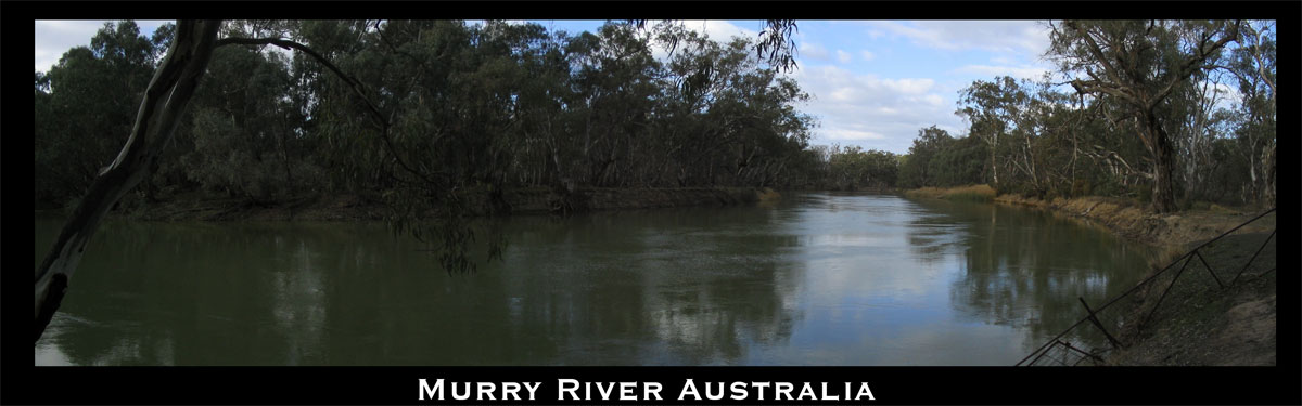 The Murry River