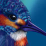 Kingfisher, Work in Progress