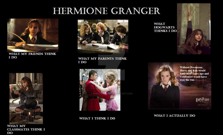 Hermione Granger Meme by buddygirl1004 on DeviantArt