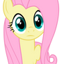 Staing Fluttershy