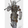 Robo Witcher