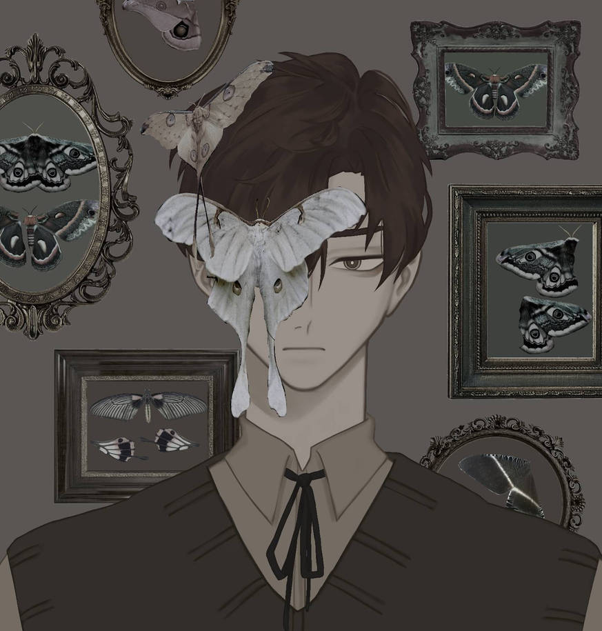 moth by NoaCore on DeviantArt